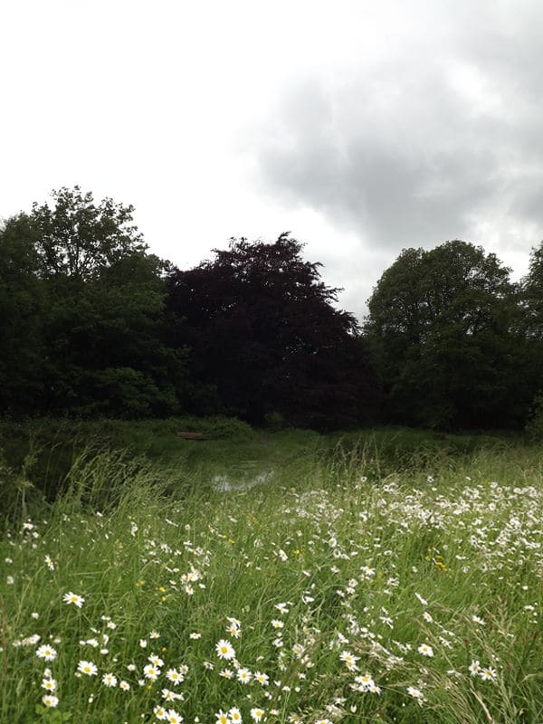 ایجاد یک منظره زیبا در فتوشاپ ایجاد یک منظره زیبا در فتوشاپ