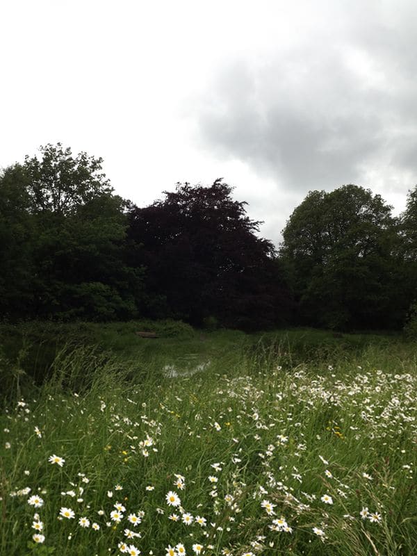 ایجاد یک منظره زیبا در فتوشاپ ایجاد یک منظره زیبا در فتوشاپ