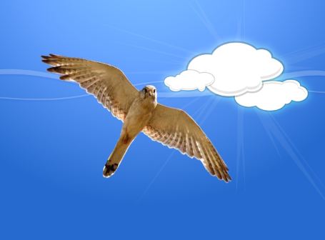 آموزش جدا کردن تصویر از پس زمینه در فتوشاپ