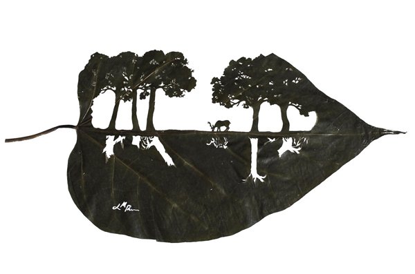 لرنزو منوئل دران