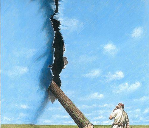 11-cut-tree-symbol-destroying-nature-illustration