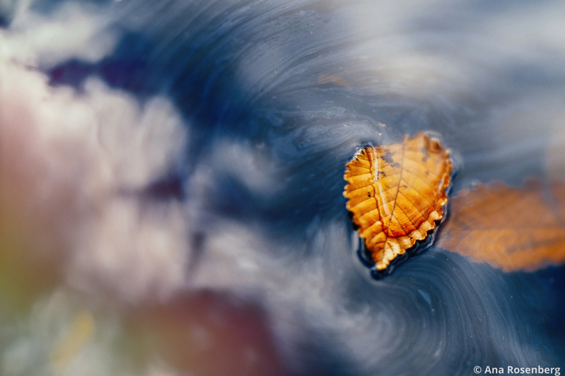 دانلود پلاگین فتوشاپ Alien Skin Exposure 4 Exposure