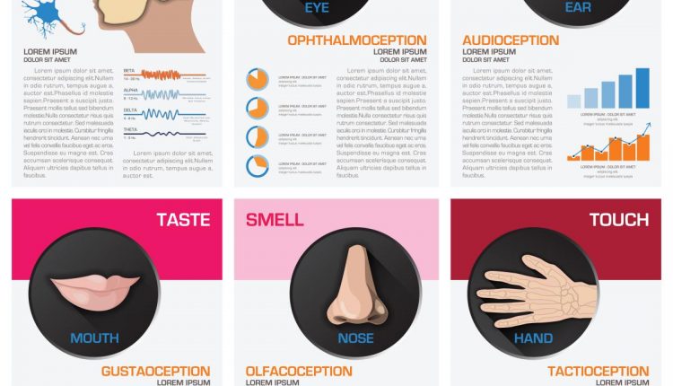 اینفوگرافیک پزشکی