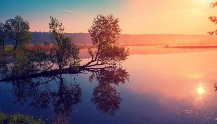 والپیپر طبیعت