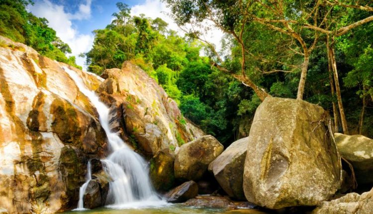 والپیپر طبیعت