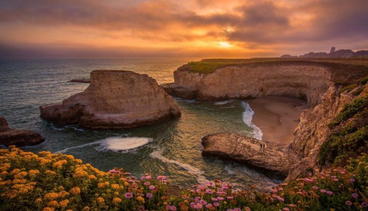 والپیپر طبیعت