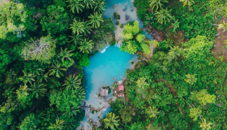 والپیپر طبیعت