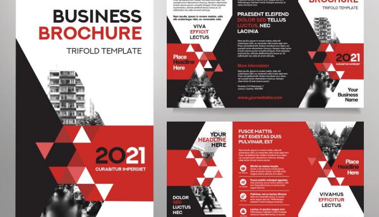 فایل لایه باز بروشور