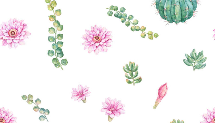 تصاویر PNG گل های کاکتوس