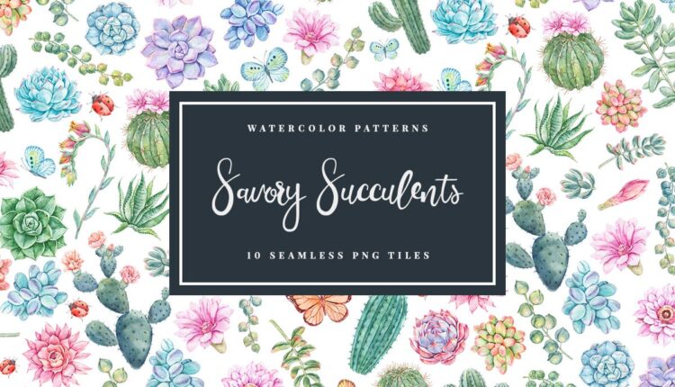 تصاویر PNG گل های کاکتوس