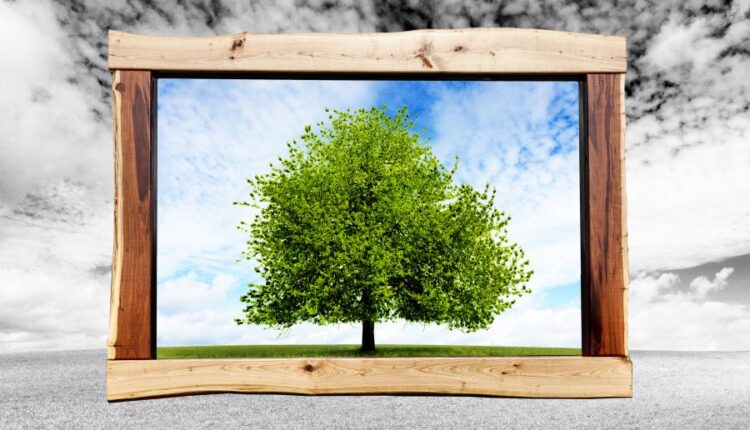 تصاویر استوک محیط زیست