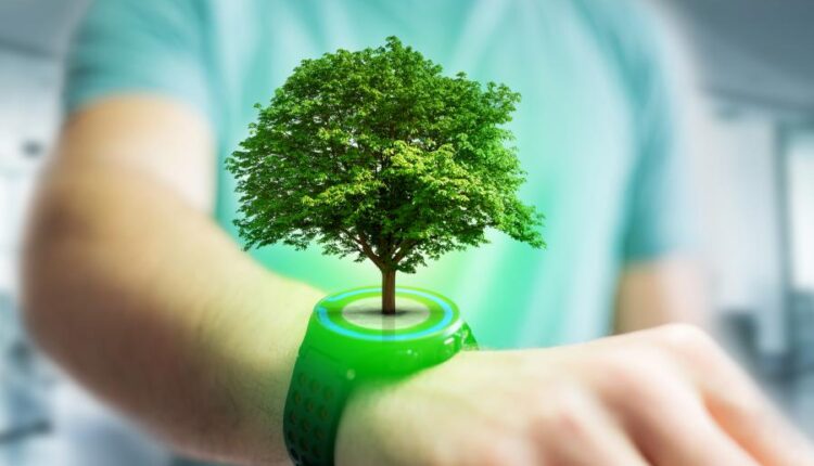 تصاویر استوک محیط زیست