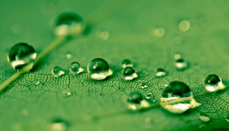 والپیپرهای با کیفیت طبیعت