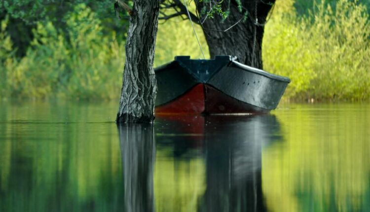 والپیپرهای با کیفیت طبیعت