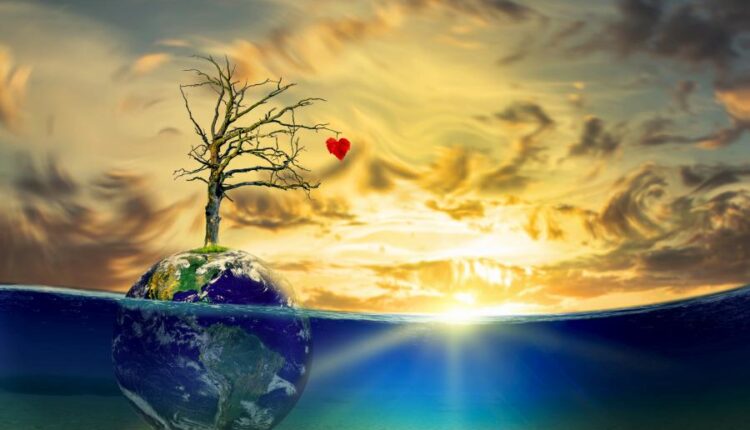 تصاویر استوک محیط زیست