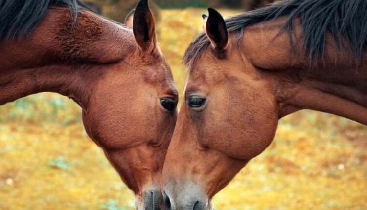 والپیپر با کیفیت