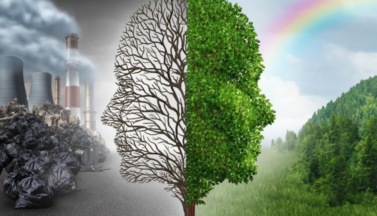 تصاویر استوک محیط زیست