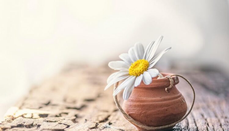 والپیپر های متنوع با کیفیت