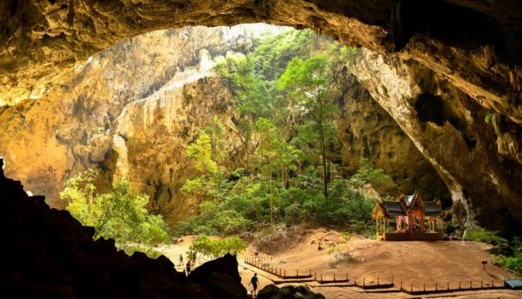 والپیپر های متنوع با کیفیت