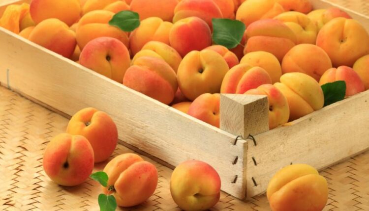 سری هفتم والپیپر های متنوع با کیفیت