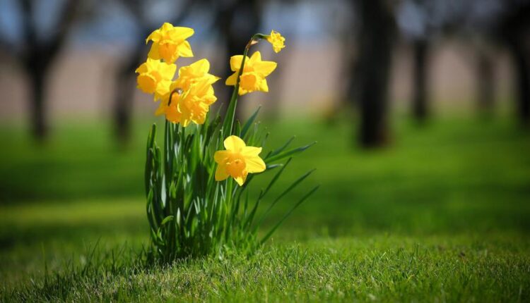 سری هشتم والپیپر های با کیفیت و زیبا