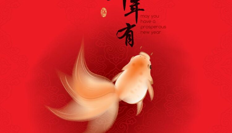 تصاویر استوک ماهی قرمز