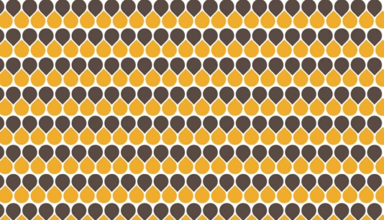 پترن های وکتور