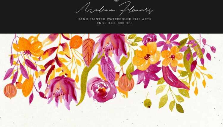 تصاویر PNG گل های آبرنگی