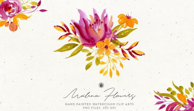 تصاویر PNG گل های آبرنگی