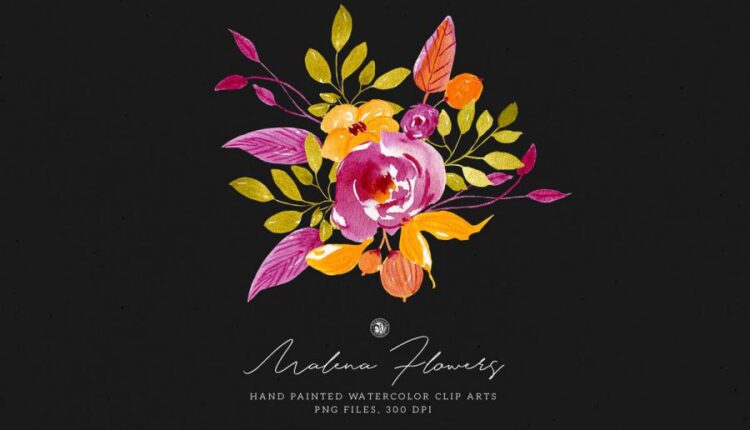 تصاویر PNG گل های آبرنگی