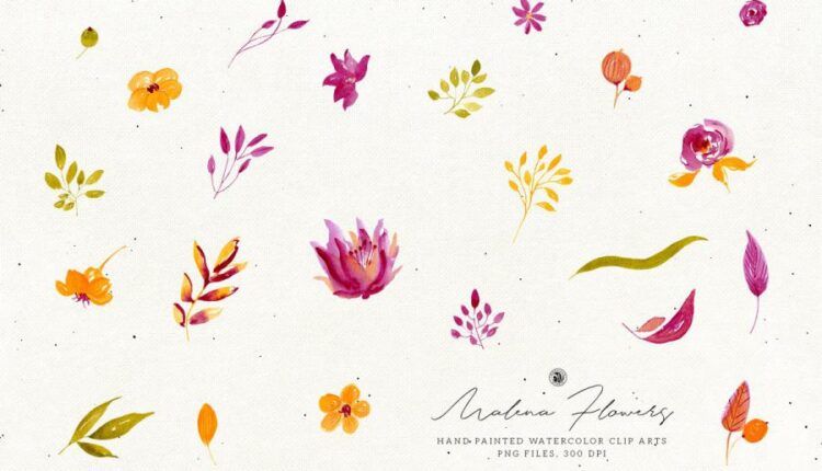 تصاویر PNG گل های آبرنگی