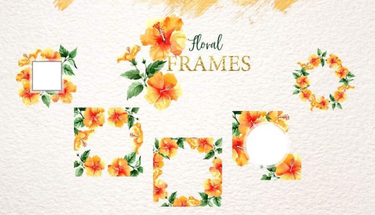 تصاویر PNG گل های نارنجی