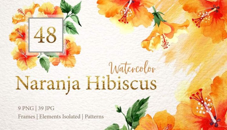 تصاویر PNG گل های نارنجی