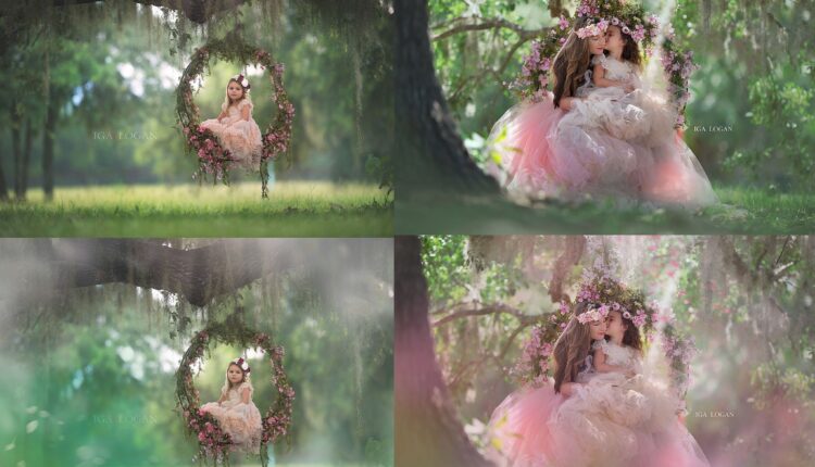 تصویر پی ان جی نقاشی گل رویایی   Floral Dreams Painted Overlays