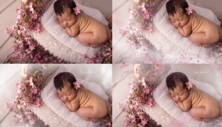 تصویر پی ان جی نقاشی گل رویایی   Floral Dreams Painted Overlays