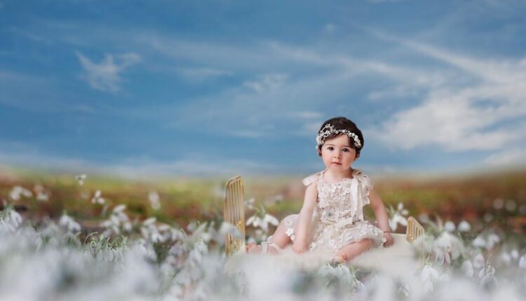 تصویر پی ان جی گل های سفید برفی   Snowdrops Photo Overlays