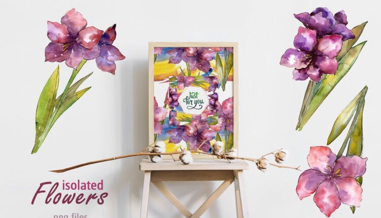 تصویر پی ان جی گل آبرنگی آماریلیس