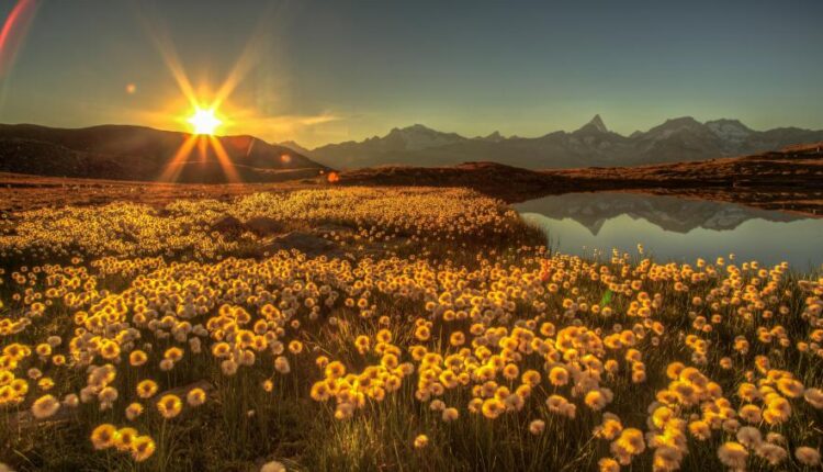 دانلود سری دوازدهم تصویر زمینه با کیفیت بسیار بالا   Ultra HD Wallpaper