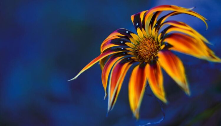 دانلود سری دوازدهم تصویر زمینه با کیفیت بسیار بالا   Ultra HD Wallpaper