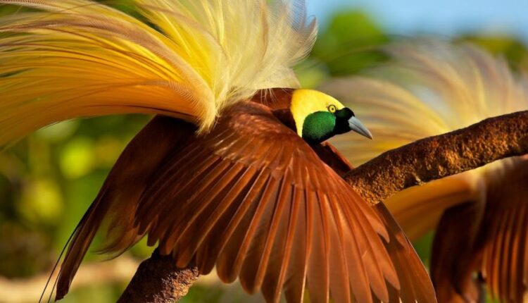 دانلود سری دوازدهم تصویر زمینه با کیفیت بسیار بالا   Ultra HD Wallpaper