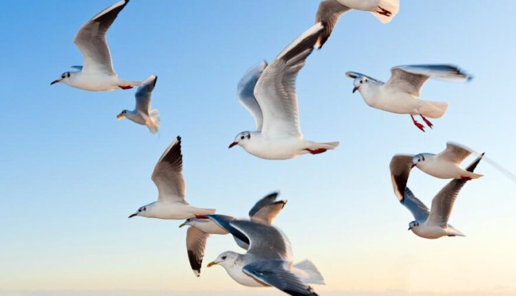 دانلود سری دوازدهم تصویر زمینه با کیفیت بسیار بالا   Ultra HD Wallpaper