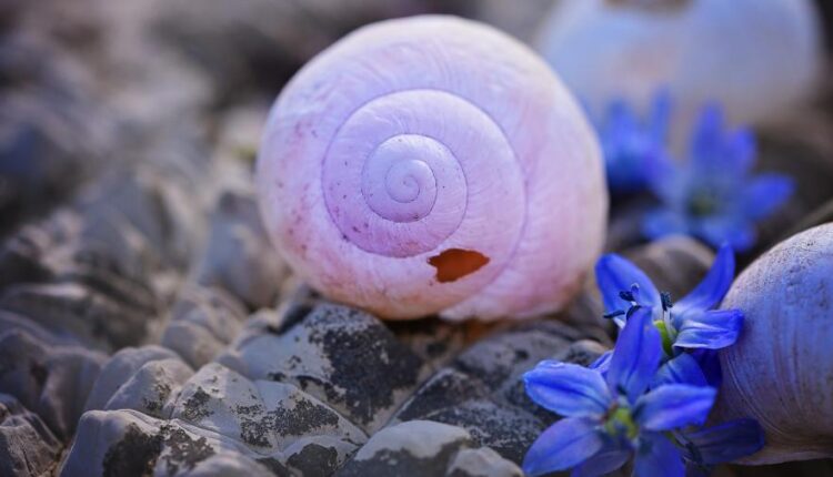 دانلود سری دوازدهم تصویر زمینه با کیفیت بسیار بالا   Ultra HD Wallpaper