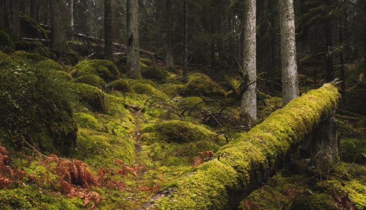 دانلود سری دوازدهم تصویر زمینه با کیفیت بسیار بالا   Ultra HD Wallpaper