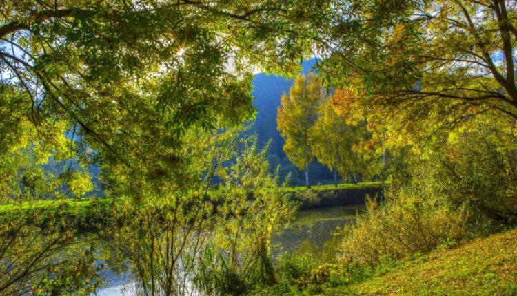 دانلود سری دوازدهم تصویر زمینه با کیفیت بسیار بالا   Ultra HD Wallpaper