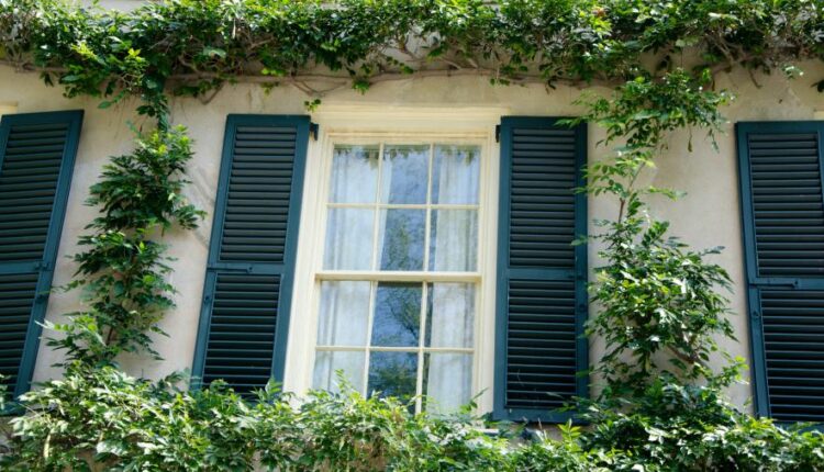 دانلود سری دوازدهم تصویر زمینه با کیفیت بسیار بالا   Ultra HD Wallpaper