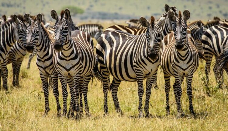 دانلود سری دوازدهم تصویر زمینه با کیفیت بسیار بالا   Ultra HD Wallpaper