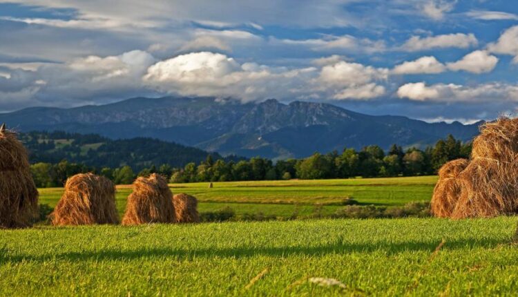 دانلود والپیپر های با کیفیت سری چهاردهم    Beautiful Wallpapers