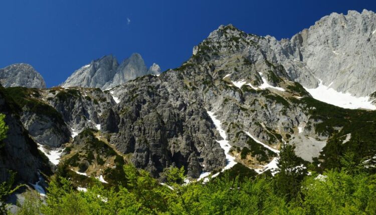 دانلود والپیپر های با کیفیت سری چهاردهم    Beautiful Wallpapers