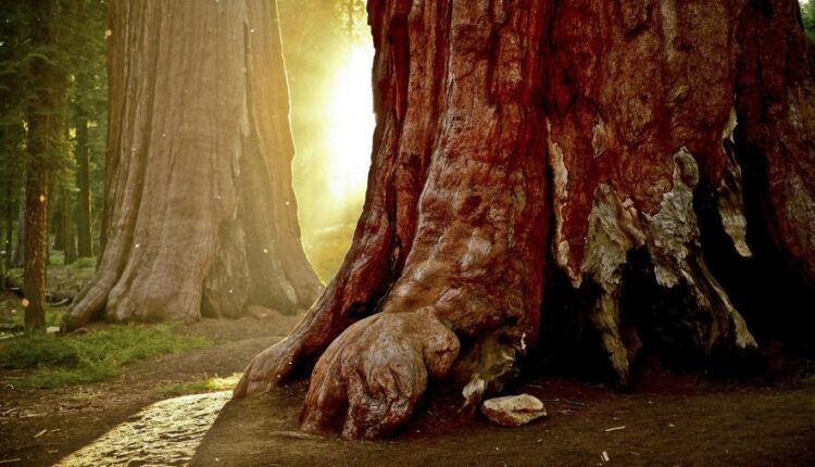 دانلود والپیپر های با کیفیت سری چهاردهم    Beautiful Wallpapers