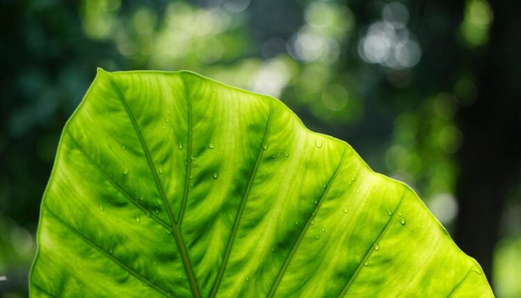 دانلود والپیپر های با کیفیت سری چهاردهم    Beautiful Wallpapers